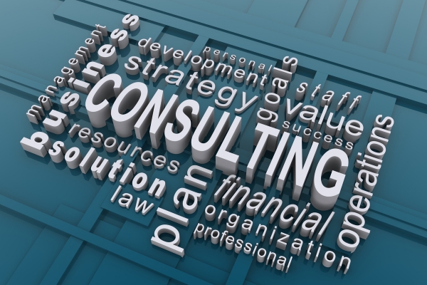 Professional Liability Insurance For Consultants
